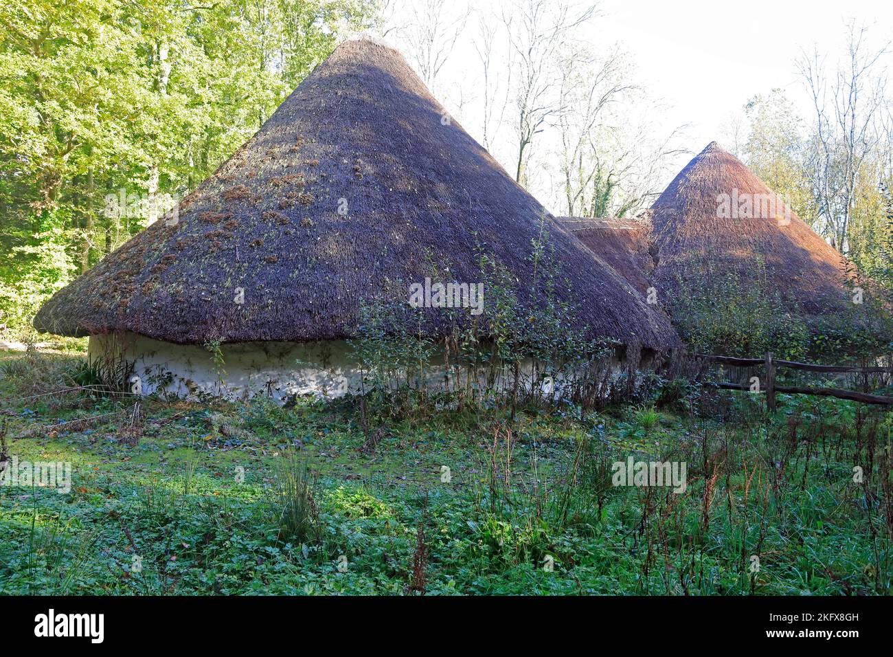 Maisons rondes celtiques au toit de chaume, Musée national d'histoire de St Fagans Amgueddfa Werin Cymru. Prise en novembre 2022. Automne Banque D'Images