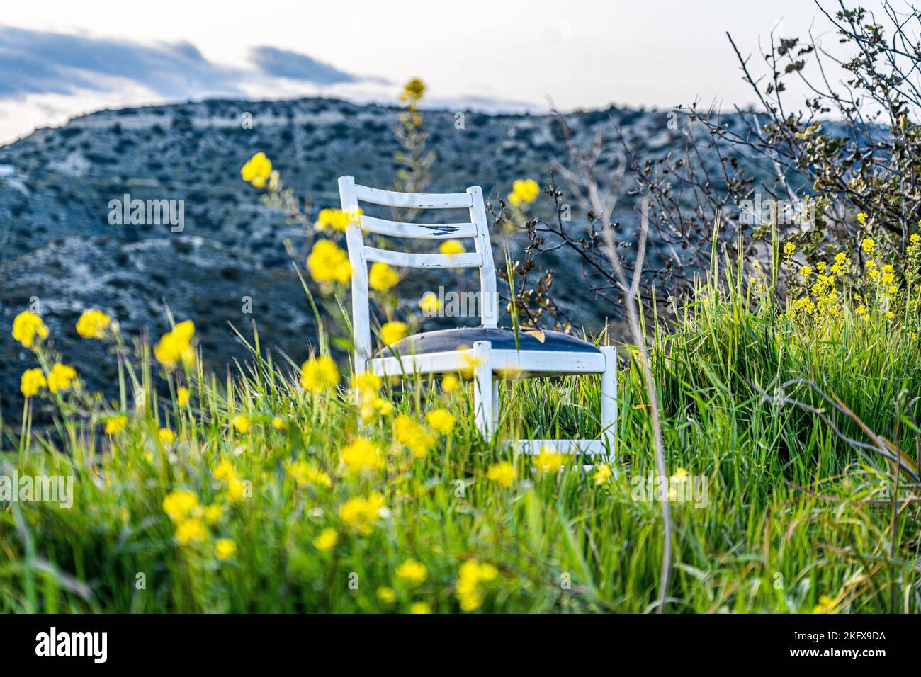Une petite chaise en bois sur de l'herbe fraîche avec des fleurs jaunes en premier plan Banque D'Images