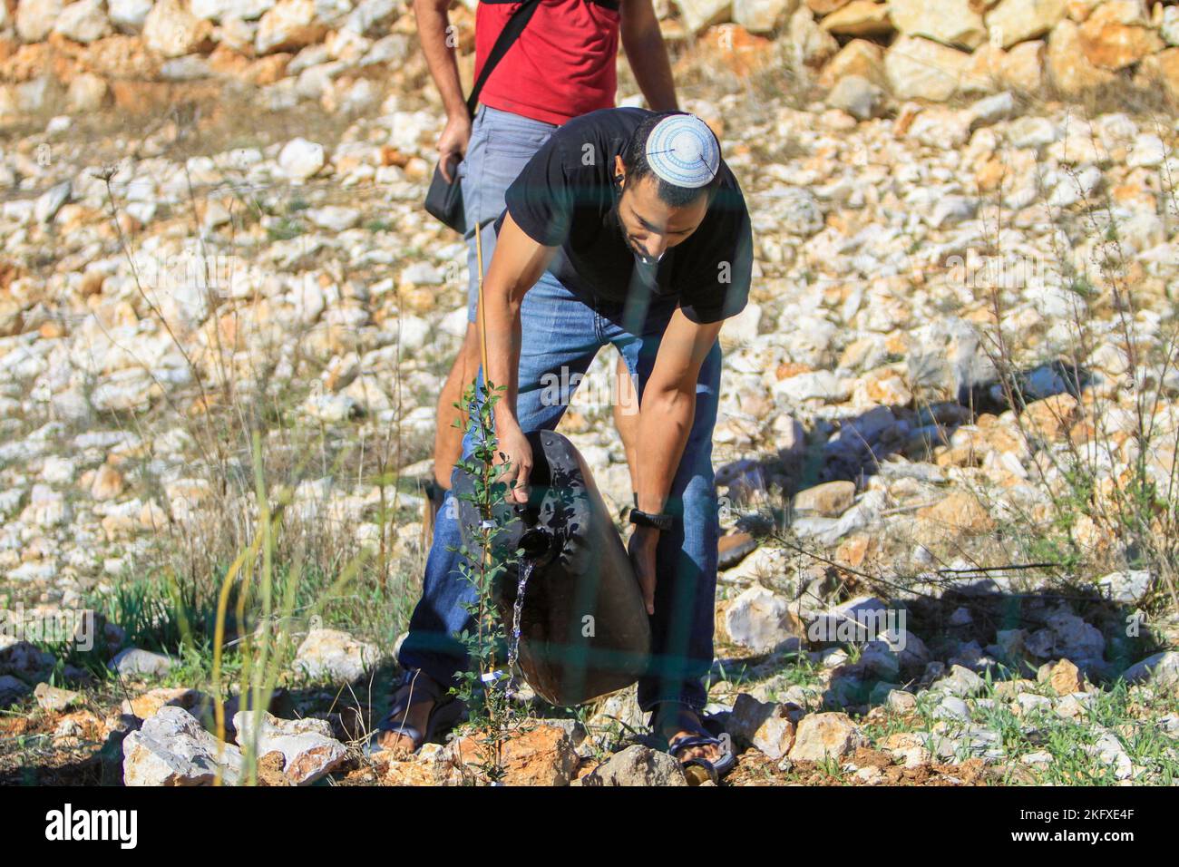 Salfit, Palestine. 20th novembre 2022. Un colon juif plante des arbres après avoir saisi des terres appartenant à des agriculteurs palestiniens dans le village de Burqin, à l'ouest de Salfit, en Cisjordanie occupée. Les Palestiniens ont manifesté contre la confiscation de leurs terres par ces colons en faveur de la colonie juive de Brochin. (Photo de Nasser Ishtayeh/SOPA Images/Sipa USA) crédit: SIPA USA/Alay Live News Banque D'Images
