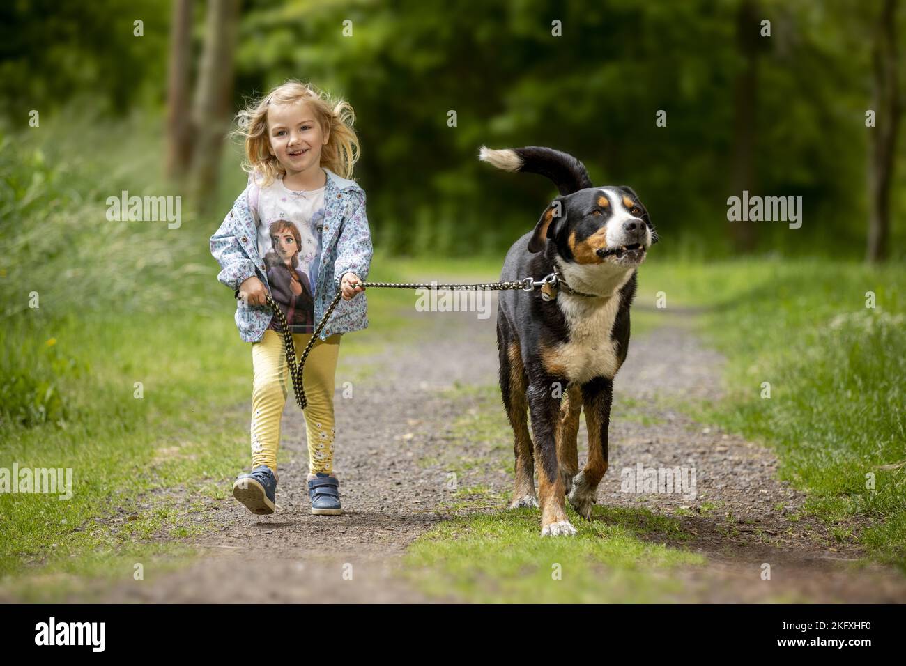 Jeune fille avec le Grand chien de montagne suisse Banque D'Images