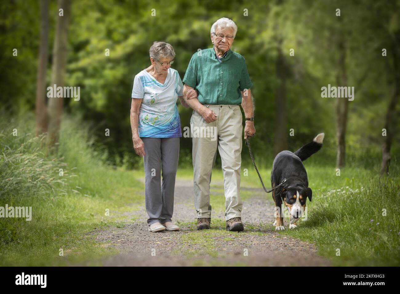 Les aînés vont faire une promenade avec le Grand chien de montagne suisse Banque D'Images