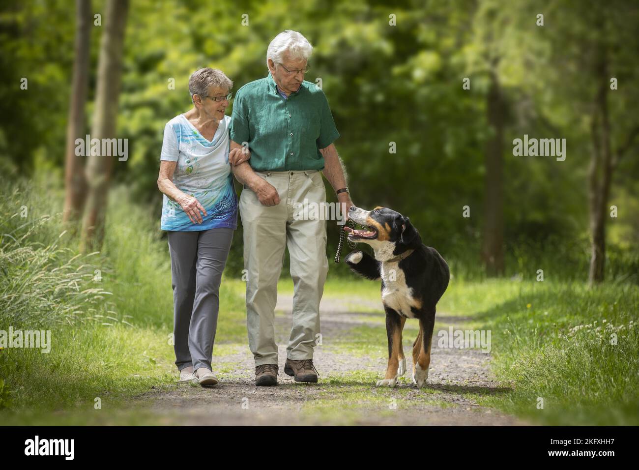 Les aînés vont faire une promenade avec le Grand chien de montagne suisse Banque D'Images