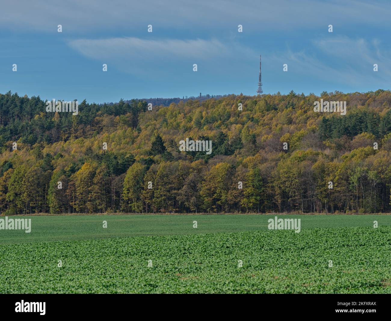 Góra Sleza novembre champs d'automne et couleurs Basse Silésie Pologne Banque D'Images