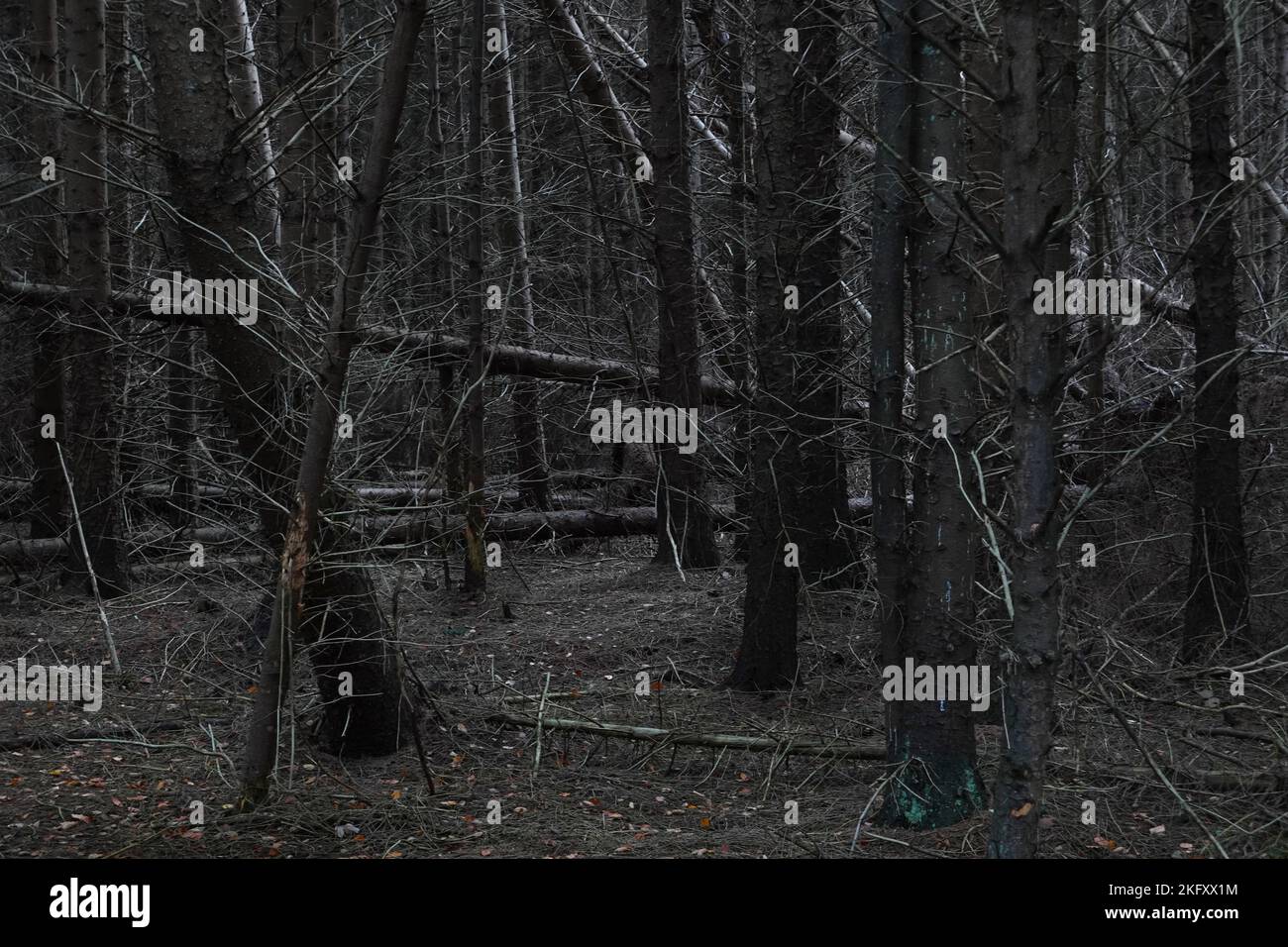 Paysage Triste Banque De Photographies Et D Images A Haute Resolution Alamy
