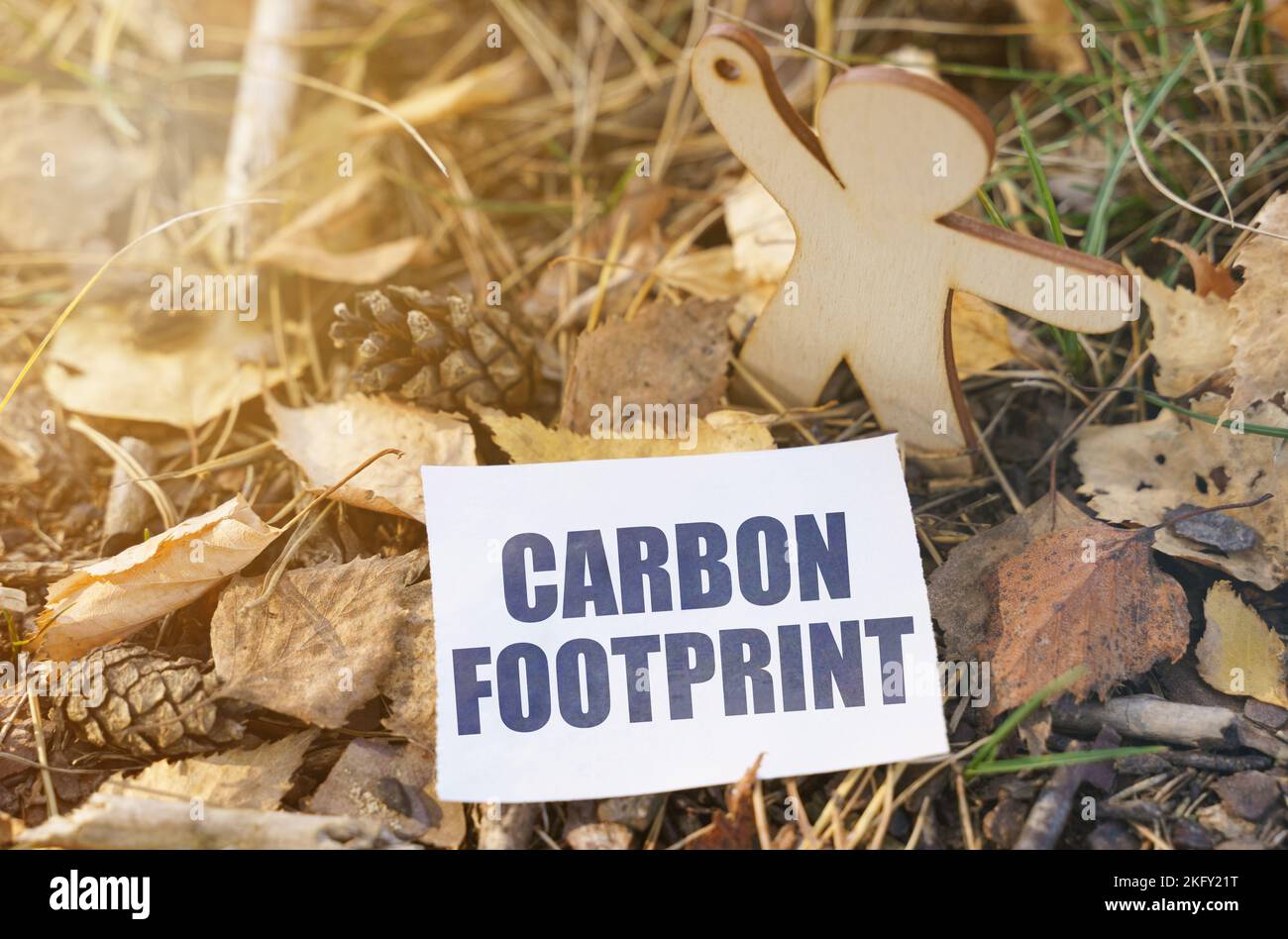 Écologie. Sur le sol entre les feuilles près de la figure en bois d'un papier d'homme avec l'inscription - empreinte carbone Banque D'Images
