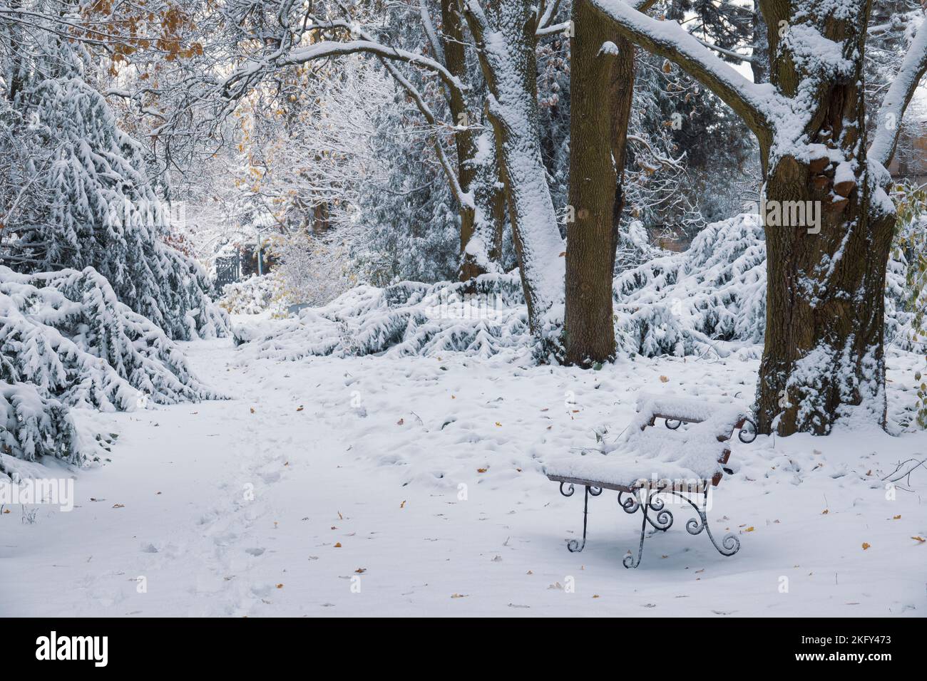 Belle scène dans le parc d'hiver. Banc couvert de neige et empreintes de pas sur la neige dans le parc d'hiver Banque D'Images