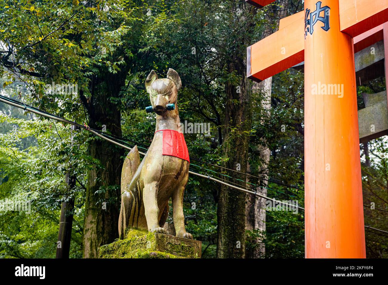 Statue de renard sacré à Fushimi Inari Taisha à Kyoto Japon avec porte rouge Banque D'Images
