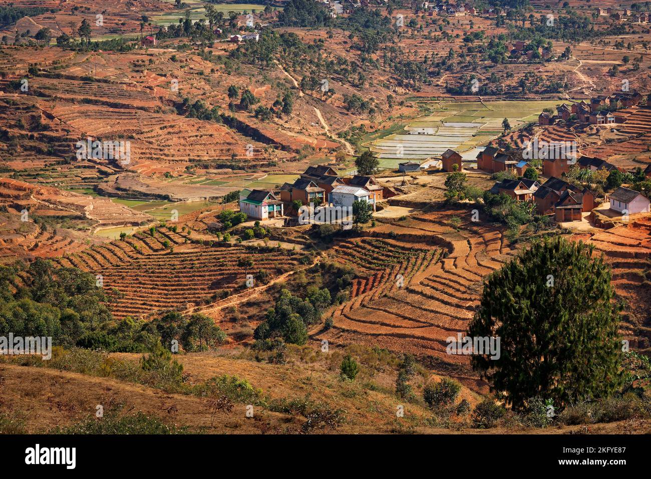 Paysage de Madagascar, paysage typique de la campagne malgache avec les rizières, collines et vallées, petites maisons simples et prairies sèches. Dév Banque D'Images