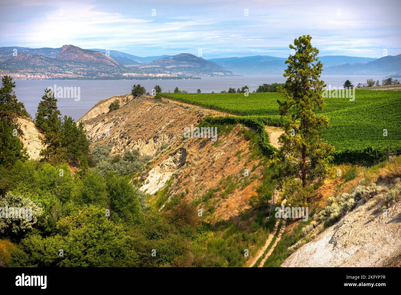 Paysage d'été de Penticton vue sur la vallée et le lac. Banque D'Images