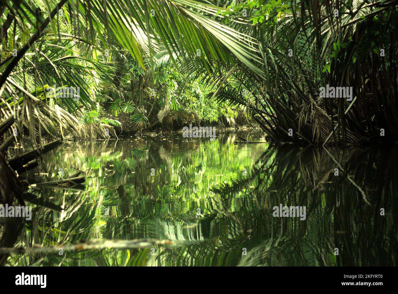Une vue de la rivière Cigenter dans l'île Handeuleum, une partie du parc national Ujung Kulon, la seule et unique maison pour le rhinocéros de Javan (Rhinoceros sondaicus) en danger critique d'extinction, qui est situé à Pandeglang, Banten, Indonésie. Banque D'Images