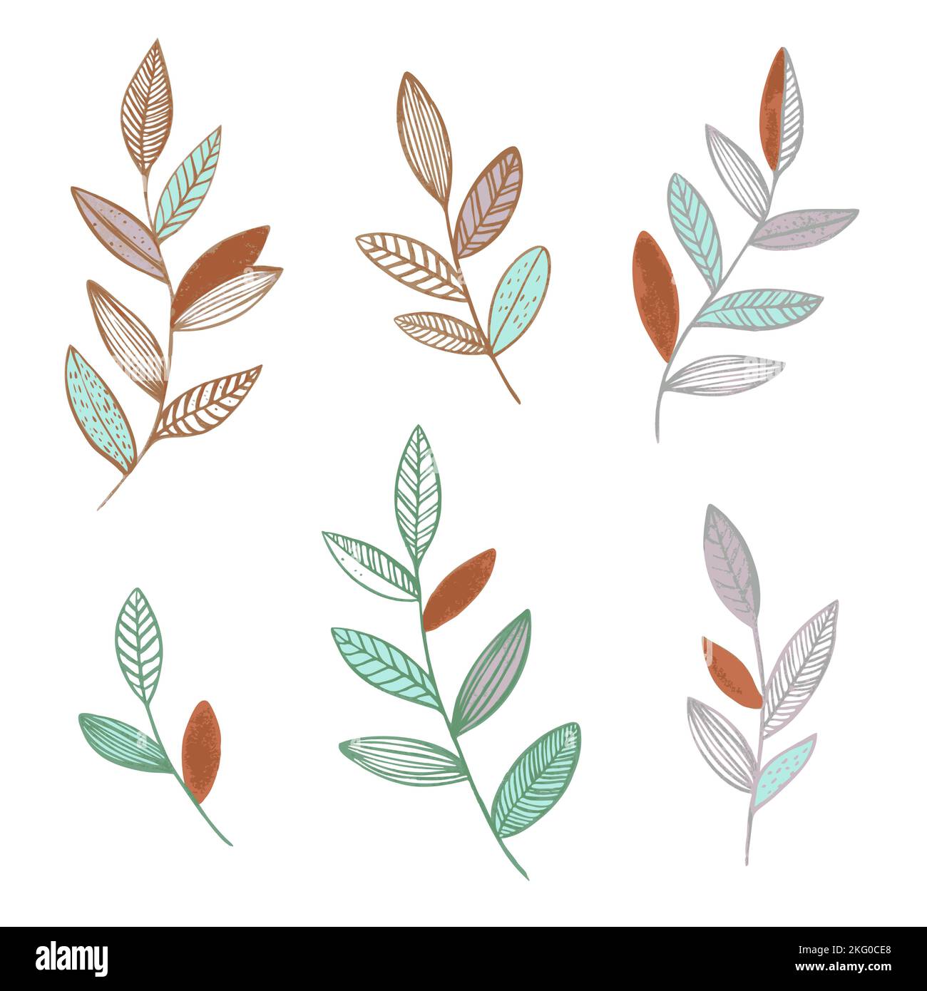 Ensemble de plantes forestières sauvages. Illustration vectorielle minimaliste dessinée à la main. Illustration de Vecteur