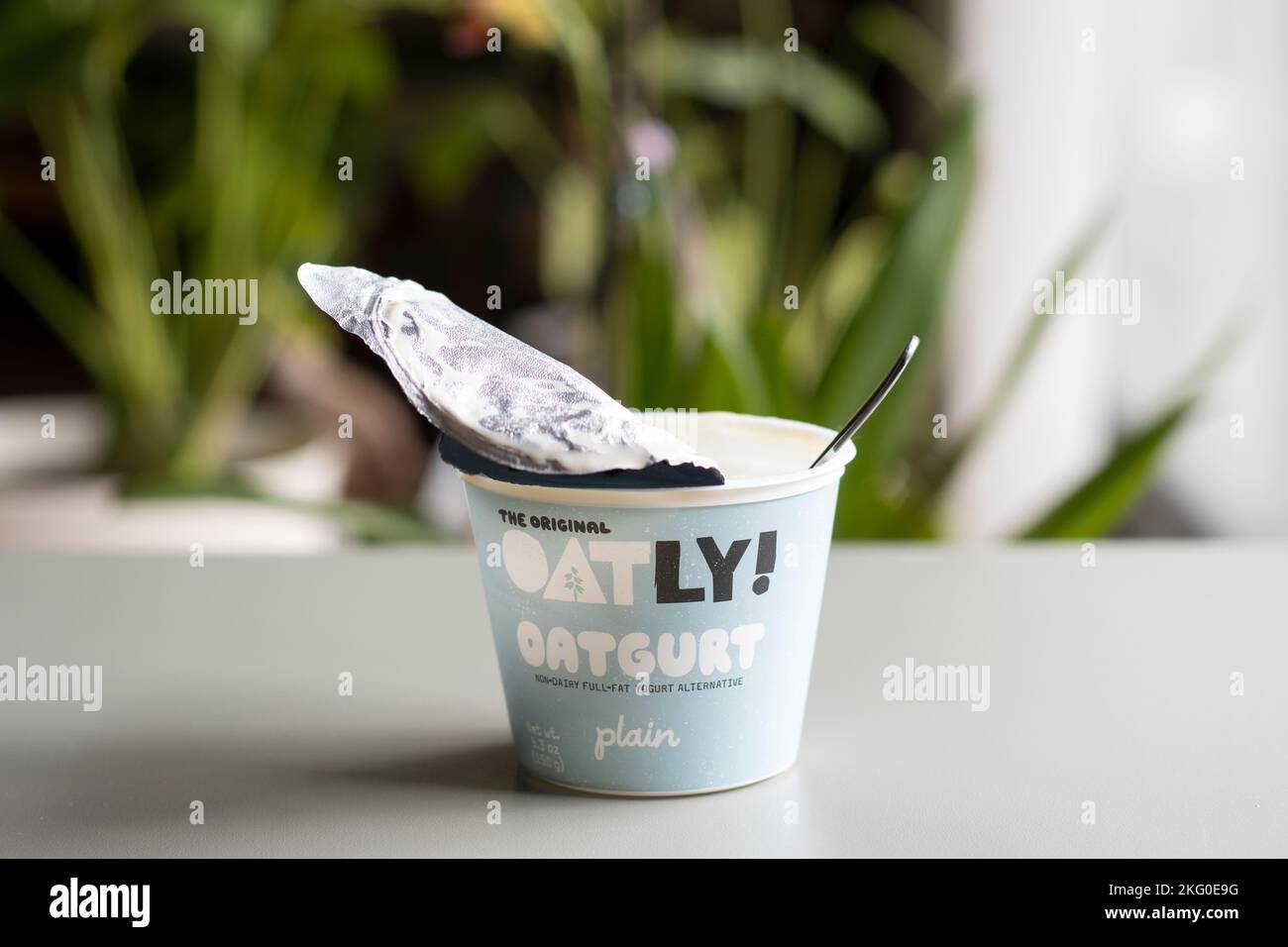 Une tasse d'oatgurt ordinaire de marque Oatly, une alternative de yaourt à la graisse non laitière produite par Oatly Group AB, avec une cuillère en elle, isolée sur une table. Banque D'Images