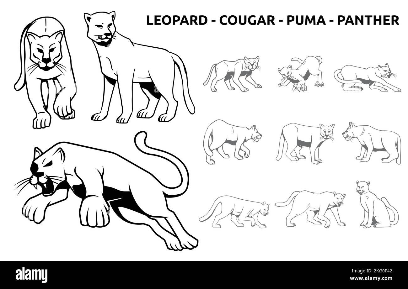 Léopard Cougar Puma Panther Big Cat Wildlife Animal Silhouette Illustration de Vecteur