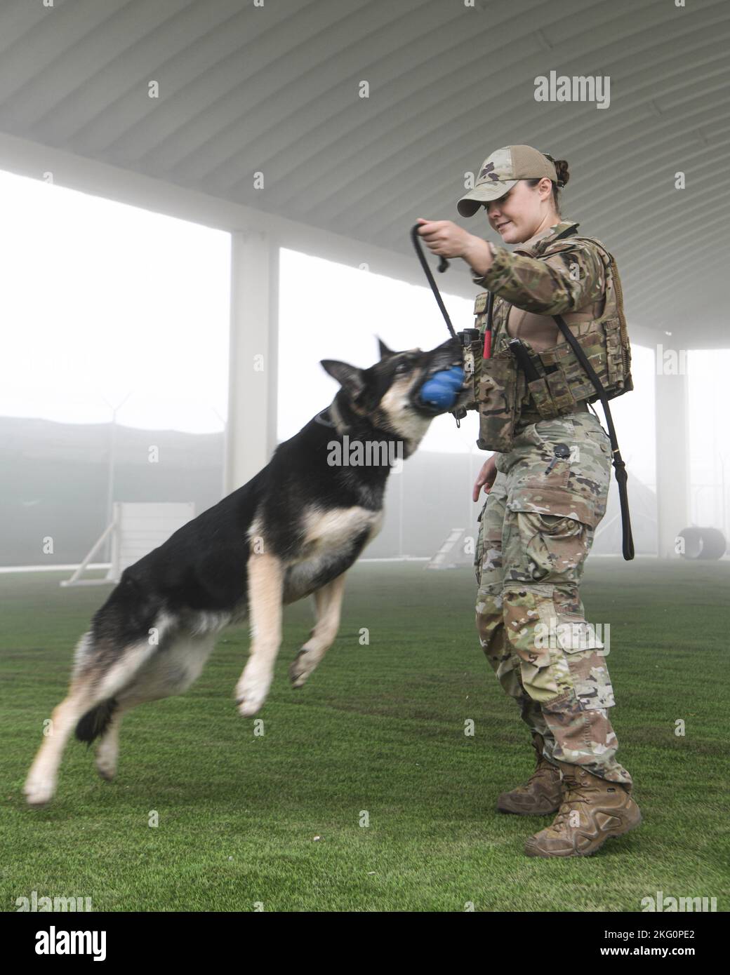 Sergent d'état-major McKenzie Langan, un maître-chien militaire affecté à l'escadron 380th des forces de sécurité expéditionnaires, s'entraîne avec son MWD, Adja, dans le chantier d'obéissance de l'ESFS 380th, 20 octobre 2022 à la base aérienne Al Dhafra, aux Émirats arabes Unis. En s'exerçant dans la cour d'obéissance, les manipulateurs peuvent s'assurer que leur MWD est familier avec les différents obstacles afin qu'ils ne soient pas entravés par le nouveau terrain sur le travail. Banque D'Images