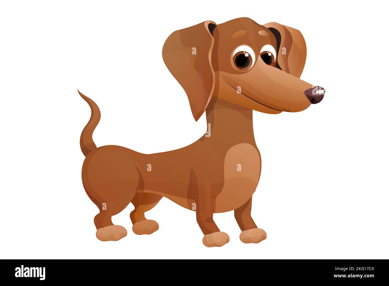 Mignon petit chiot de dachshund, debout et souriant dans un style de dessin animé, personnage d'animal lumineux isolé sur fond blanc. Illustration vectorielle Illustration de Vecteur