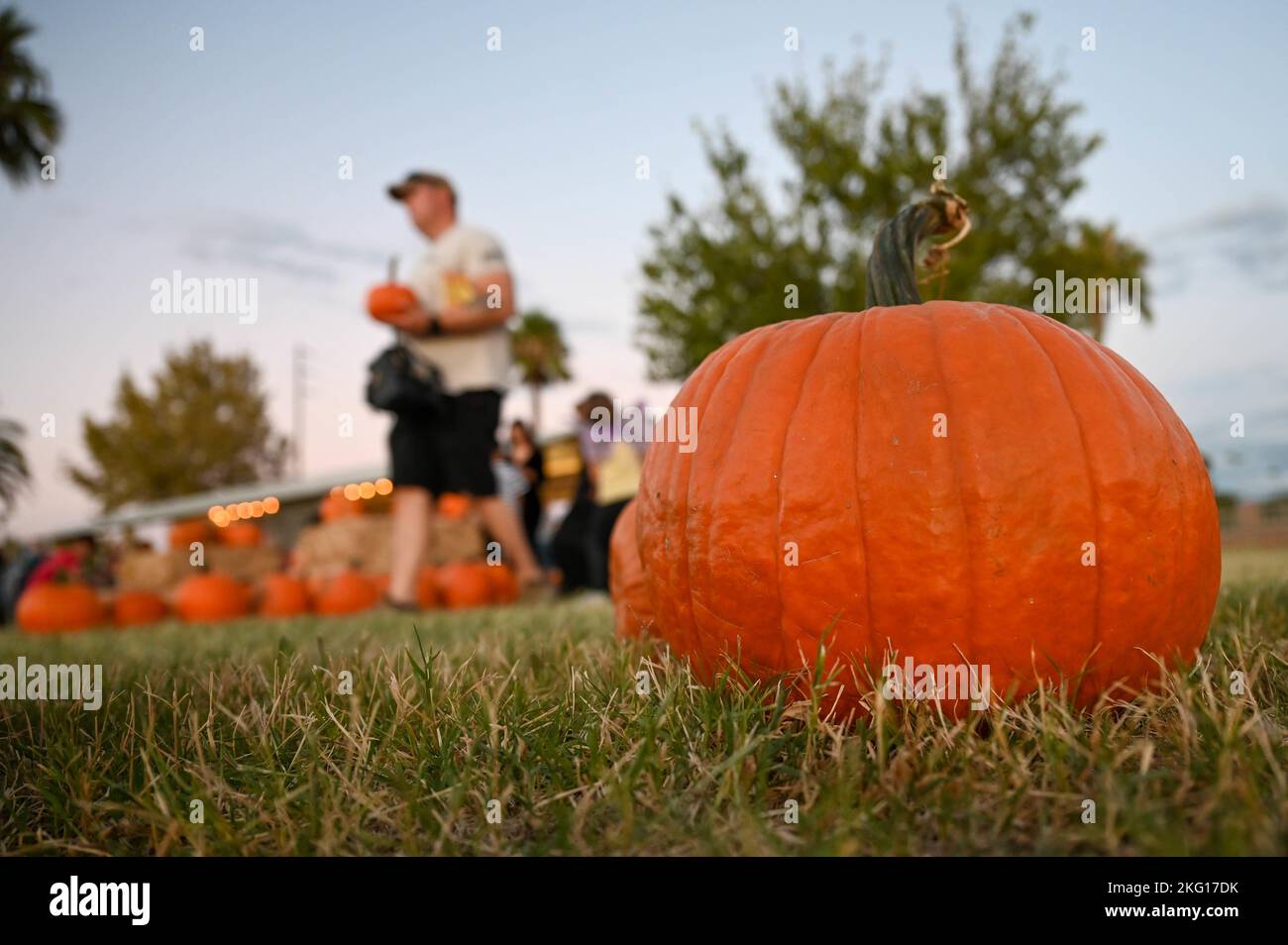 Les aviateurs et leurs familles participent au Harvest Festival à la base aérienne de Davis-Monthan, Arizona, le 21 octobre 2022. Le Harvest Festival de cette année a consisté en des stands de nourriture et de boissons, une zone de danse, un concert, et un potiron patch entre autres activités. Banque D'Images