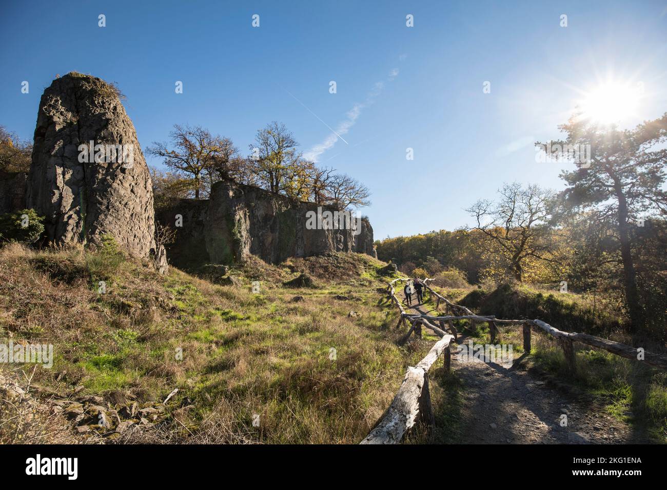 Pilier de roche de la montagne Stenzelberg dans la chaîne de colline de Siebengebirge près de Koenigswinter, la montagne a servi de carrière pour la latite de quartz jusqu'à la TH Banque D'Images