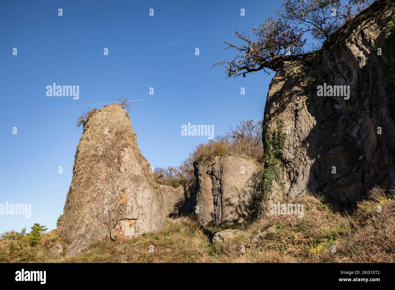 Pilier de roche de la montagne Stenzelberg dans la chaîne de colline de Siebengebirge près de Koenigswinter, la montagne a servi de carrière pour la latite de quartz jusqu'à la TH Banque D'Images