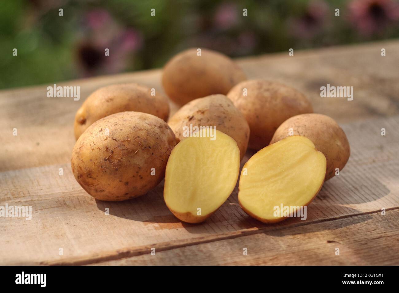 pommes de terre - quelques pommes de terre biologiques crues dans leurs peaux et une pomme de terre coupée en deux, disposées sur une table en bois Banque D'Images