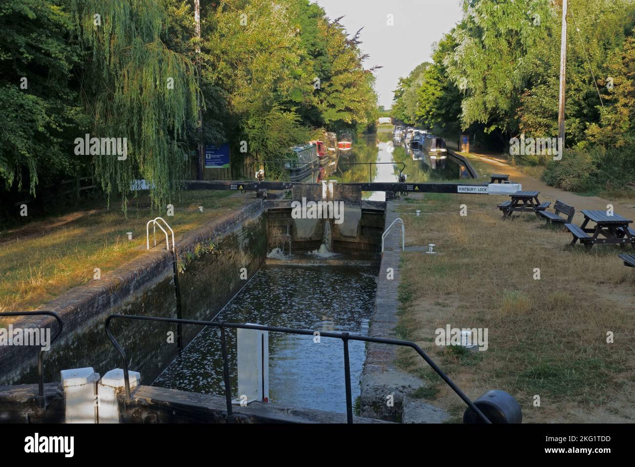 En début d'été, lumière matinale sur les arbres à l'écluse de Kintbury, sur le canal Kennett & Avon, avec des bateaux étroits amarrés par le chemin de halage, Berkshire, août Banque D'Images