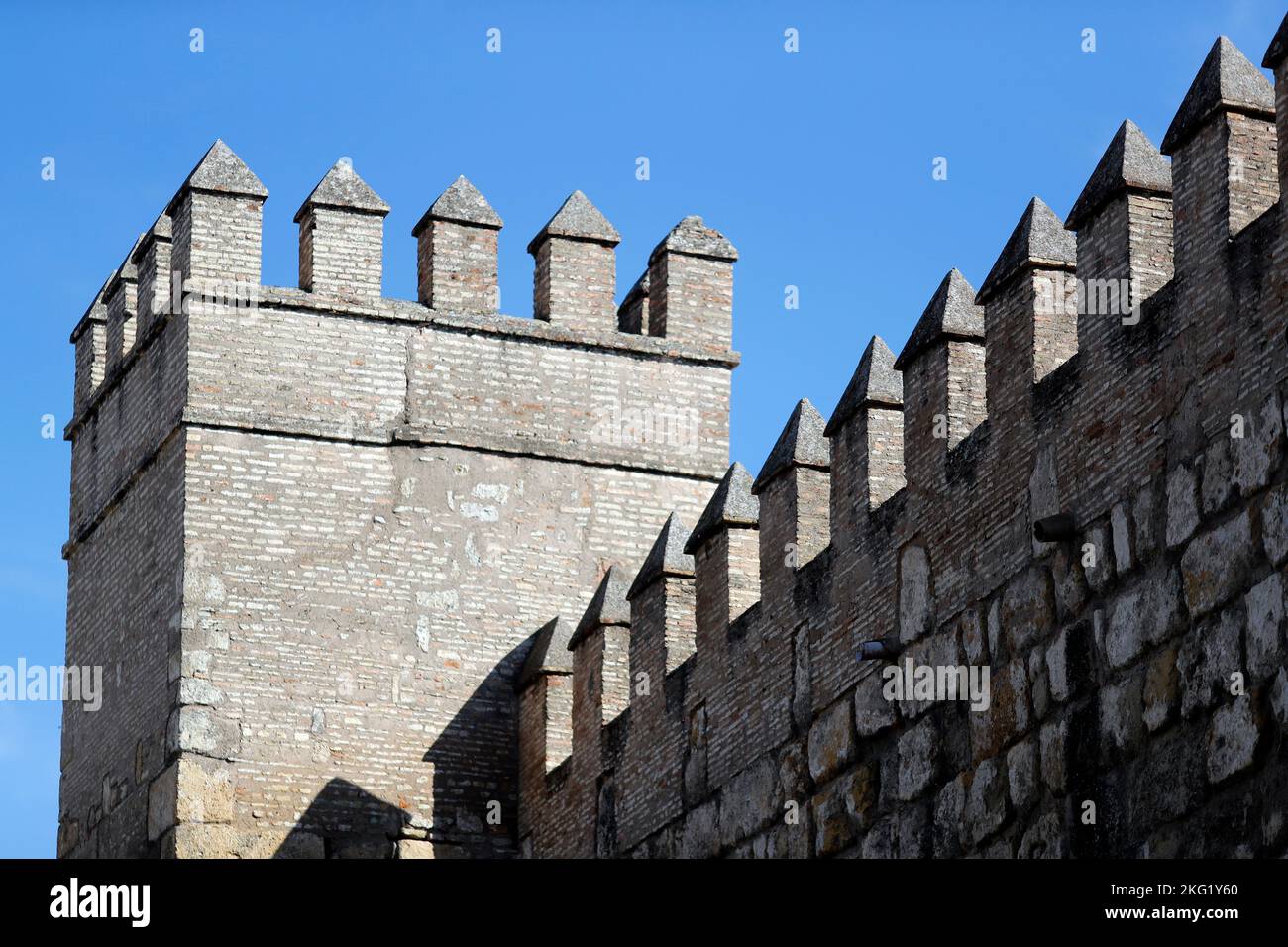 Les Alcazars royaux de Séville. Architecture. Espagne. Banque D'Images