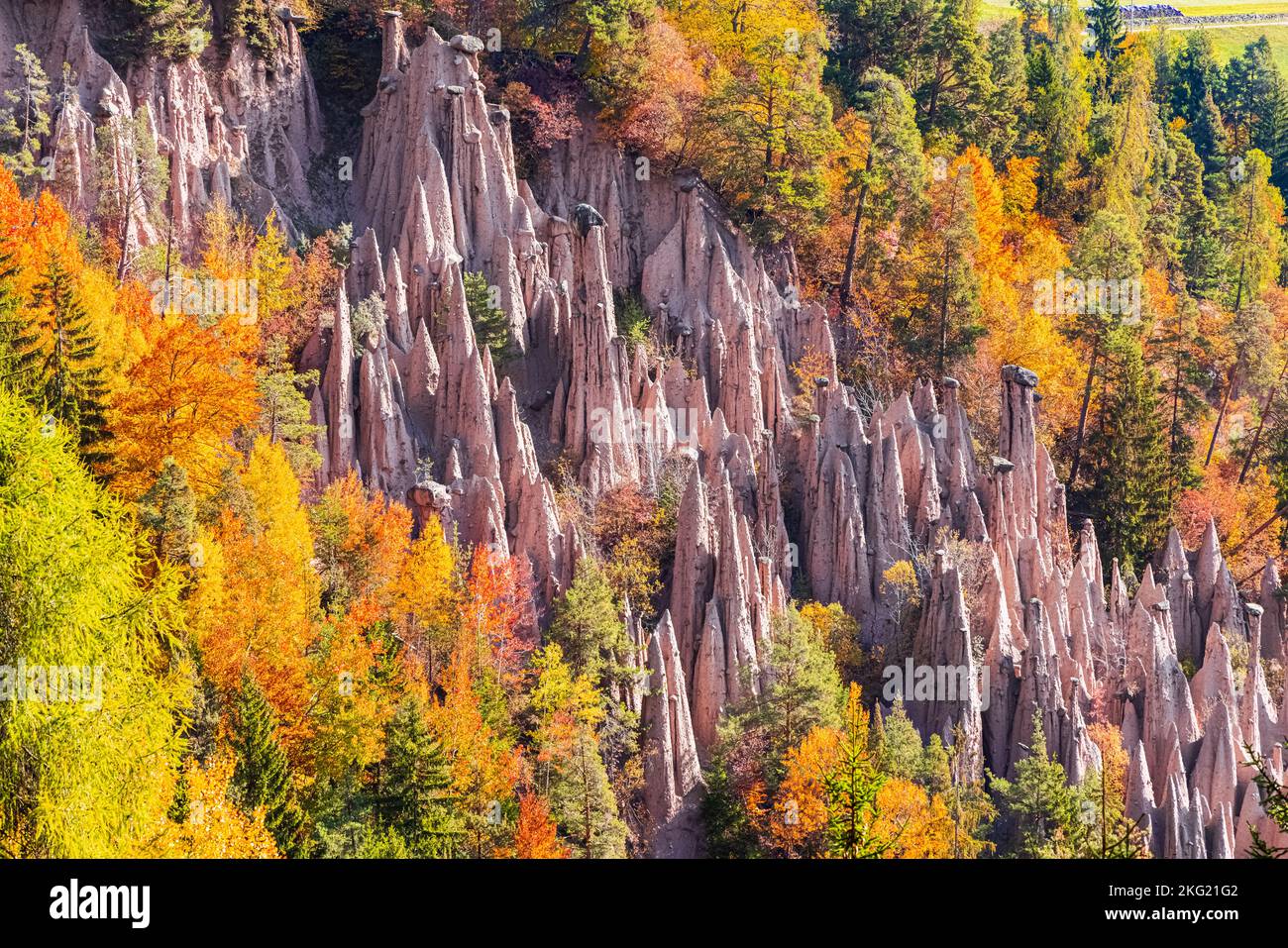 Automne aux couleurs de l'automne dans les Dolomites, dans le Tyrol du Sud, surplombant les formes de paysage bizarres sur le plateau ensoleillé de Rittner. Le plus grand et le plus grand b Banque D'Images