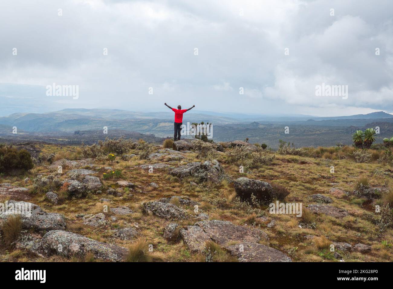 Vue arrière d'un randonneur avec des bras levés à un point de vue panoramique au parc national d'Aberdare, Kenya Banque D'Images