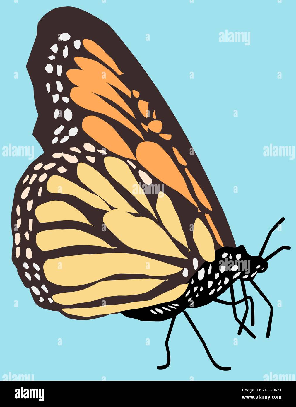 Papillon monarque, Danaus plexippus isolé sur fond bleu. Illustration de Vecteur