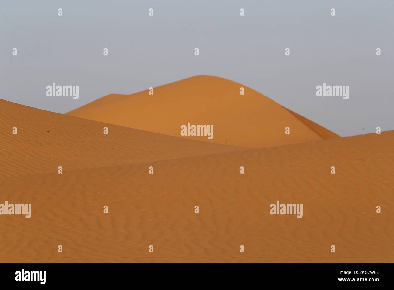 Dunes de sable dans le désert. Émirats arabes Unis. Banque D'Images