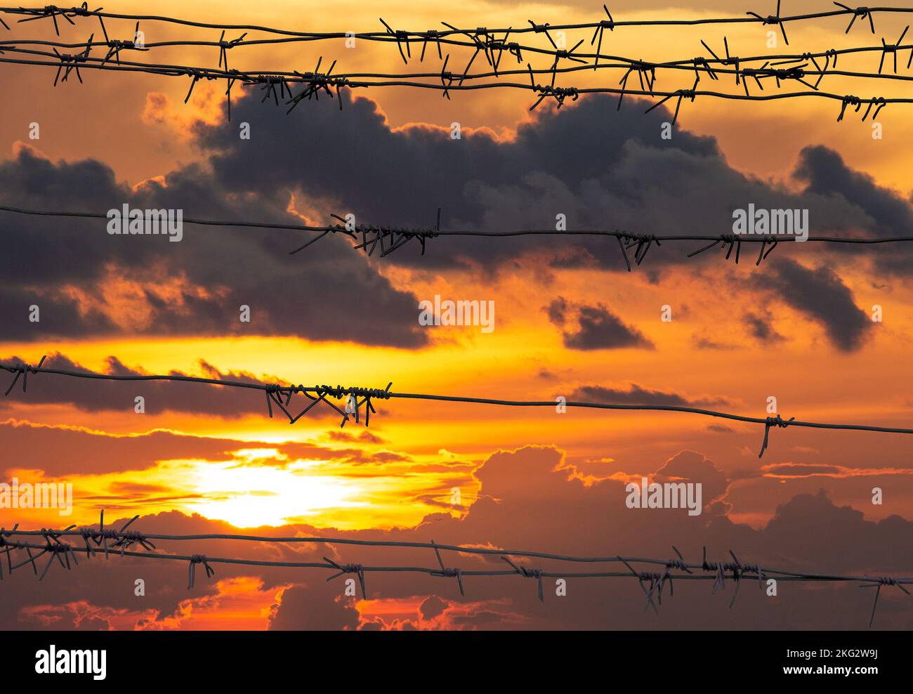 Clôture en barbelés devant le coucher de soleil orange et rouge de Dramatics ou le ciel de lever du soleil avec des nuages pour l'arrière-plan Banque D'Images