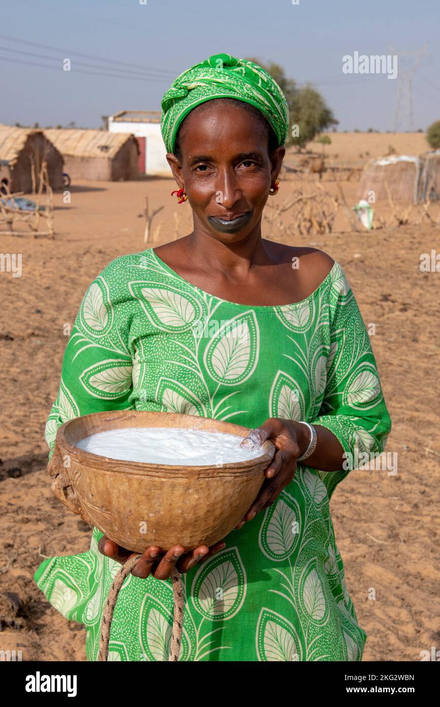 Soirée traite par une femme de Peul dans le nord du Sénégal Banque D'Images