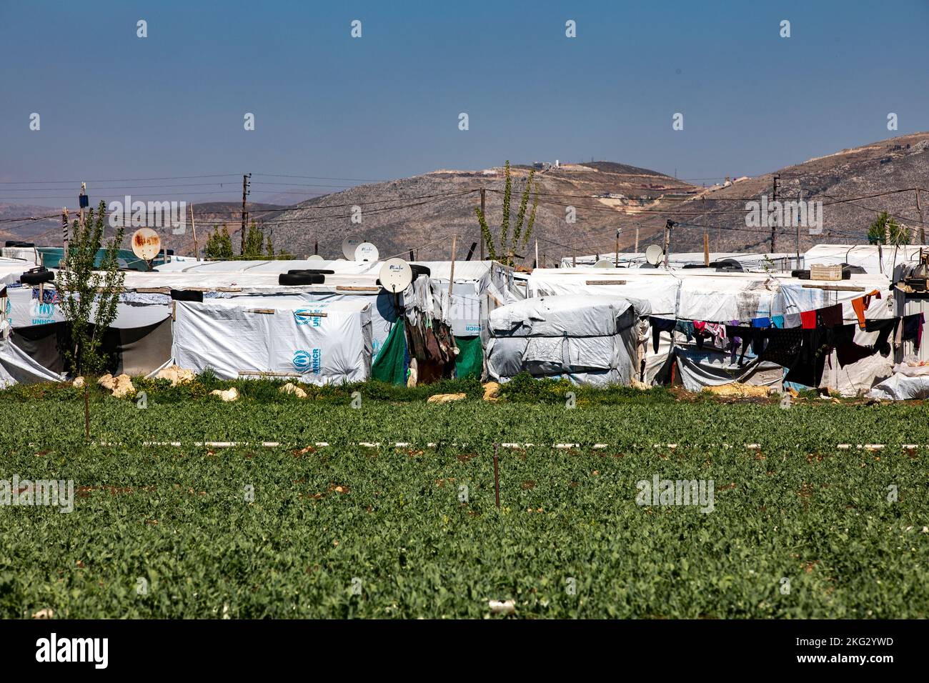 Camp de réfugiés syriens dans la Beqaa, au Liban Banque D'Images