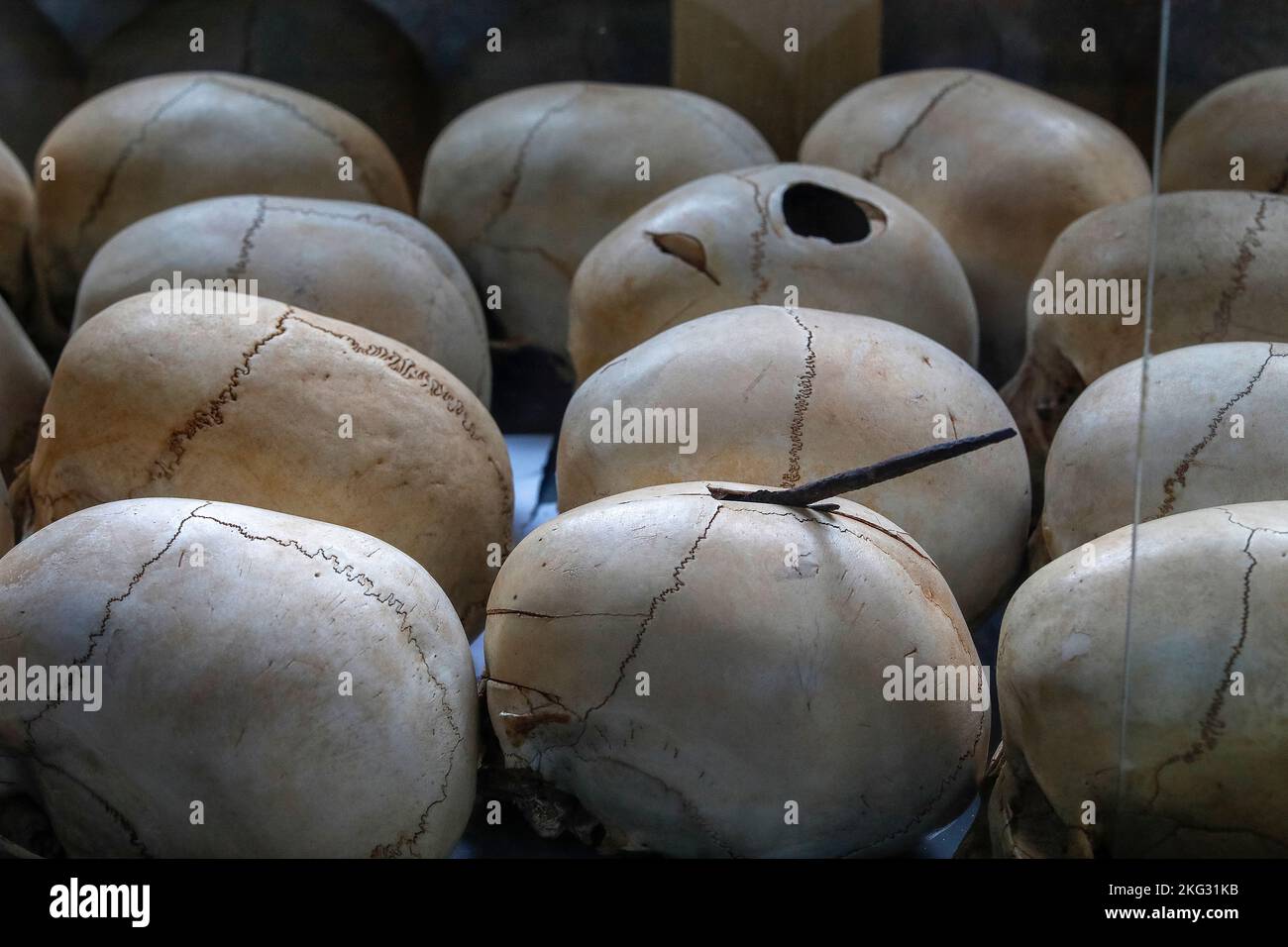Crânes de victimes exposées au Ntarama Genocide Memorial Centre, Ntarama, Bugesera, Rwanda Banque D'Images