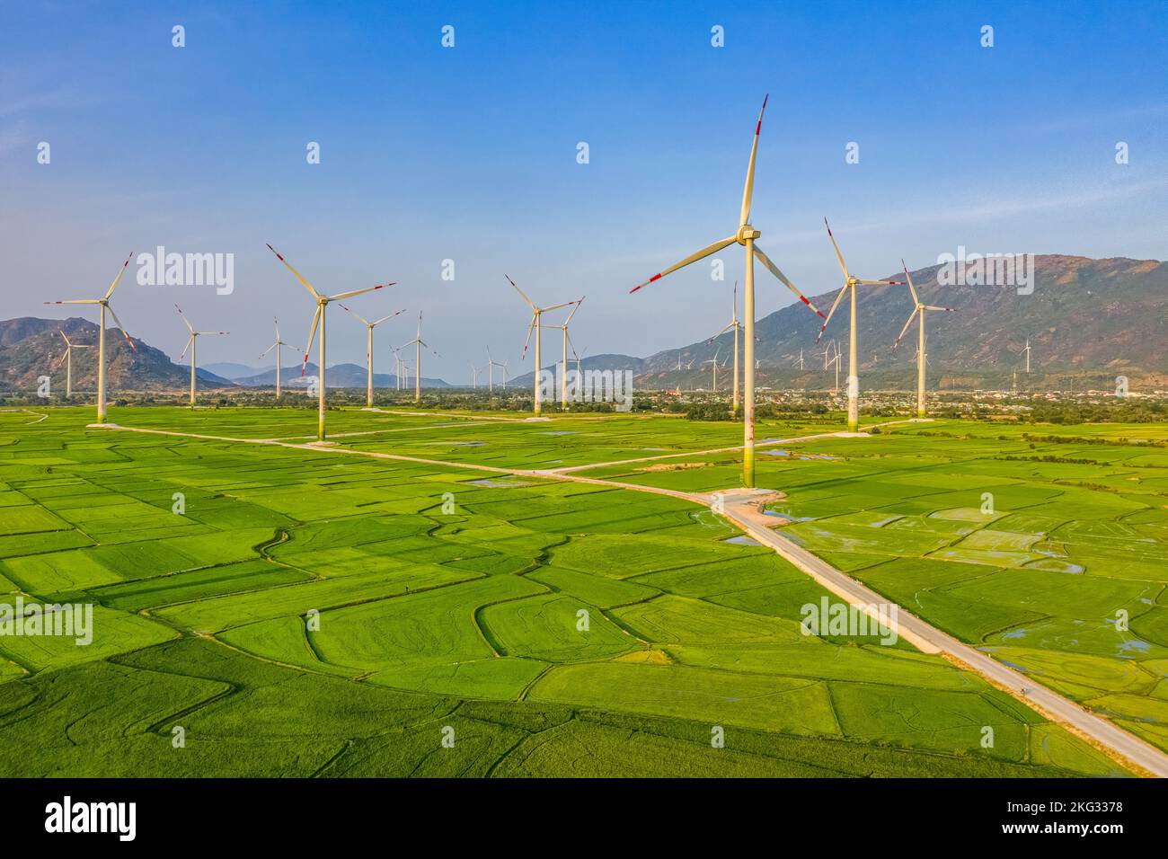 Paysage avec turbine énergie verte électricité, éolienne pour la production d'énergie électrique, éoliennes produisant de l'électricité sur le champ de riz à Phan Ra Banque D'Images
