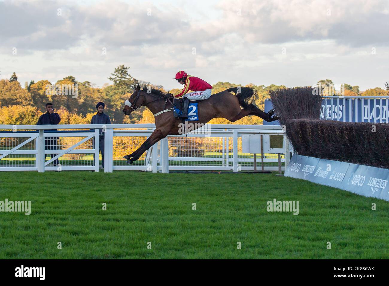 Ascot, Berkshire, Royaume-Uni. 19th novembre 2022. Cheval Coole Cody ...