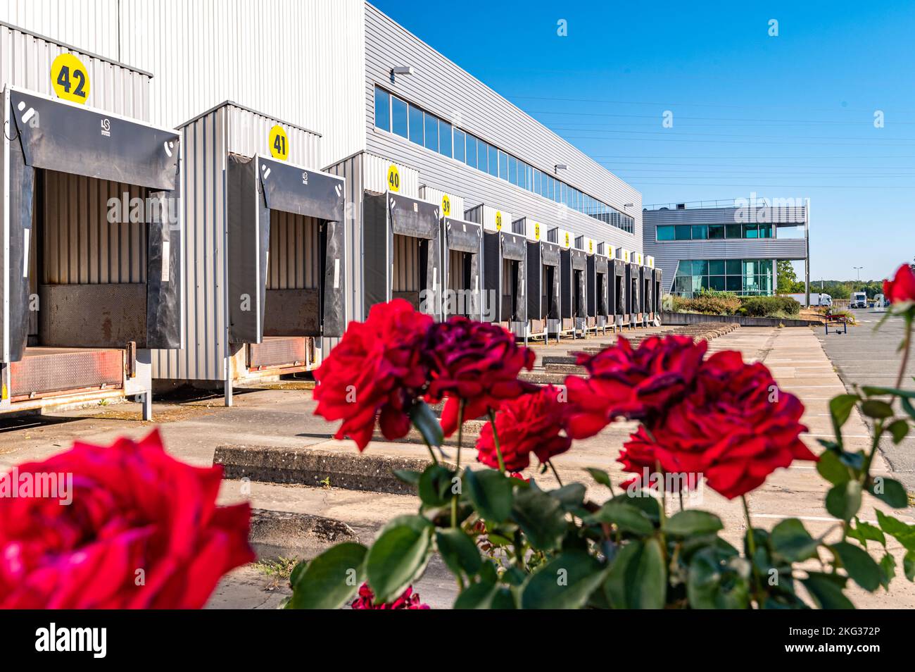 Gros plan de roses rouges avec bâtiment d'entrepôt à l'arrière avec diverses unités pour le stockage des marchandises Banque D'Images