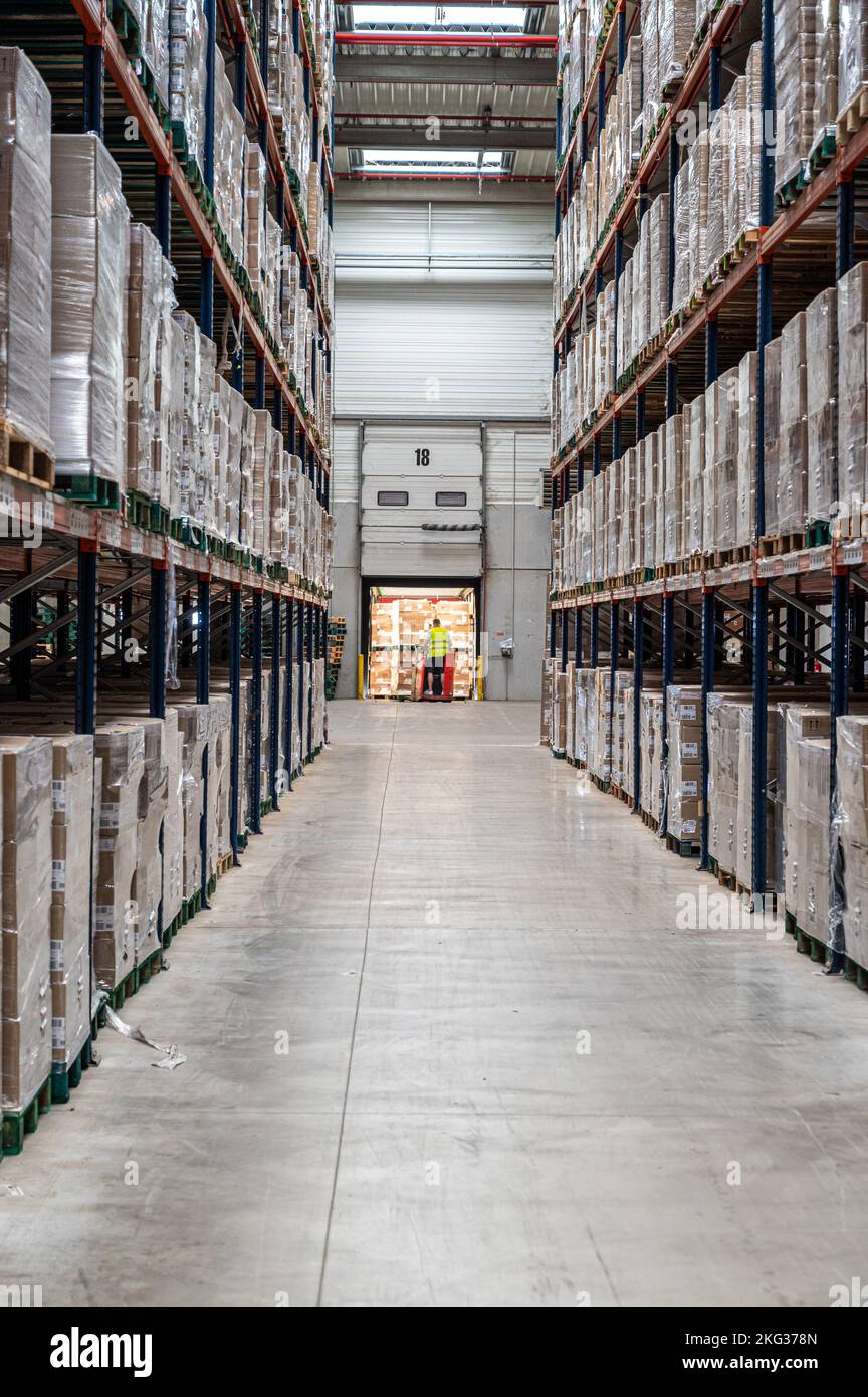 Un portrait de magasin avec plein de stocks dans les étagères Banque D'Images