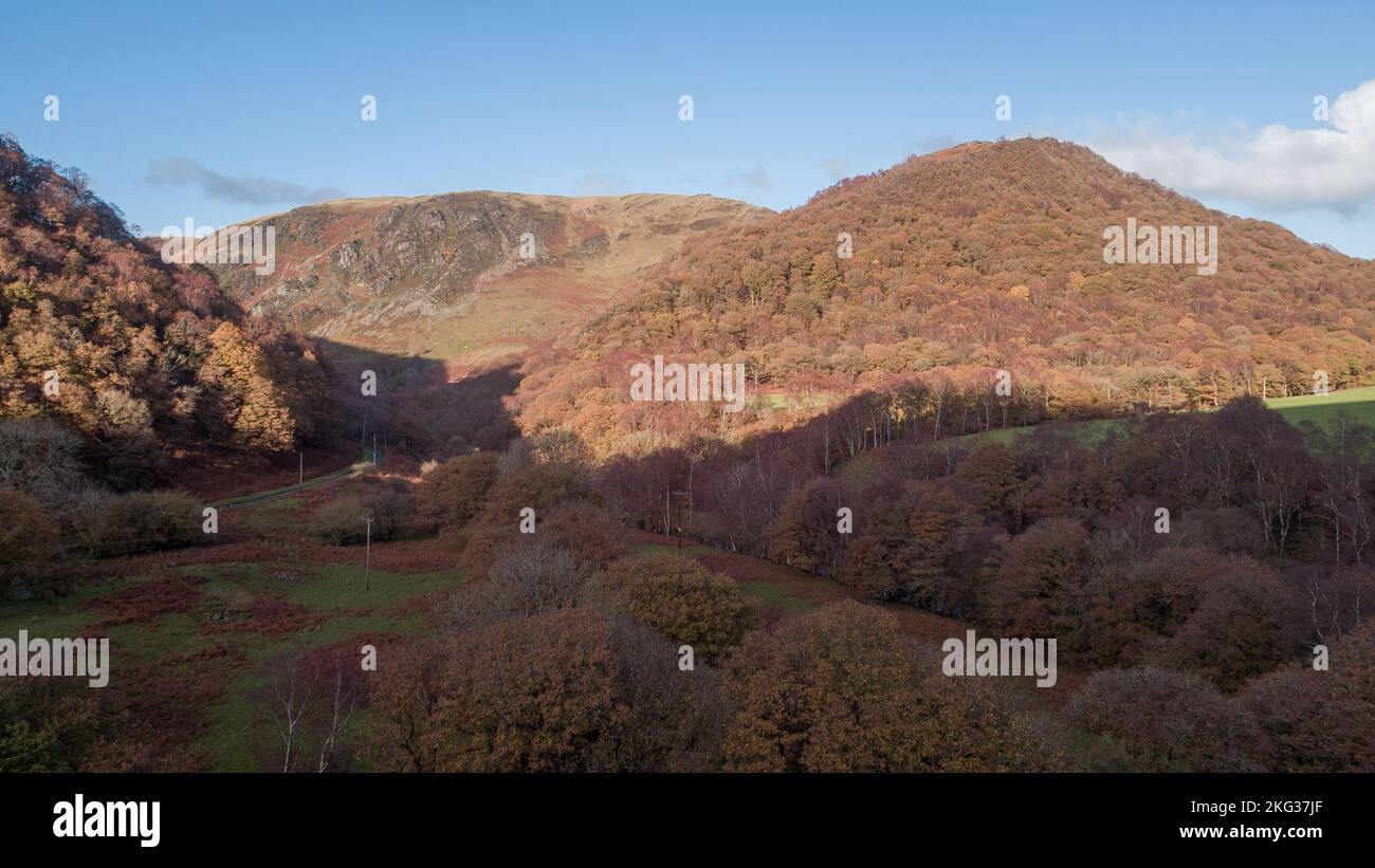 Vue aérienne de la vallée supérieure de Towy aux couleurs automnales à Gwenffrwd Dinas, pays de Galles, Royaume-Uni Banque D'Images