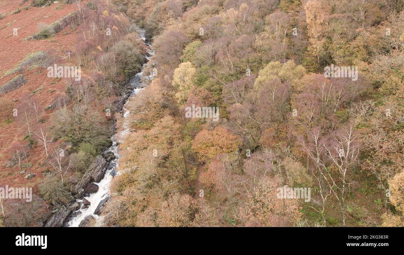 Vue aérienne de la cascade de la rivière Towy à la réserve naturelle de Gwenffrwd Dinas RSPB, pays de Galles, Royaume-Uni Banque D'Images