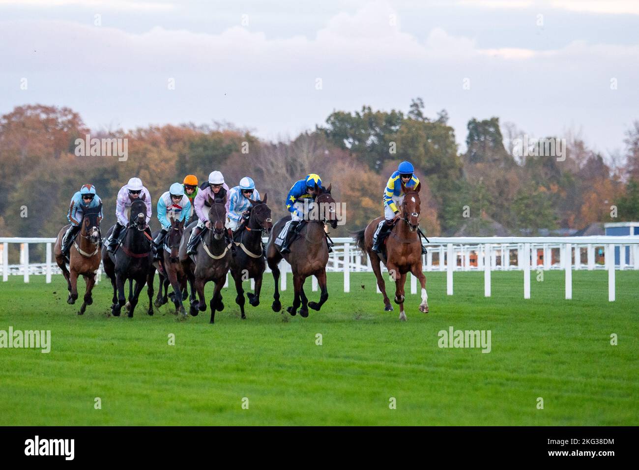 Ascot, Berkshire, Royaume-Uni. 19th novembre 2022. Cavaliers dans le premier circuit de la Paddock Ownership Day Series Open National Hunt Flat Race à l'hippodrome d'Ascot. Crédit : Maureen McLean/Alay Banque D'Images