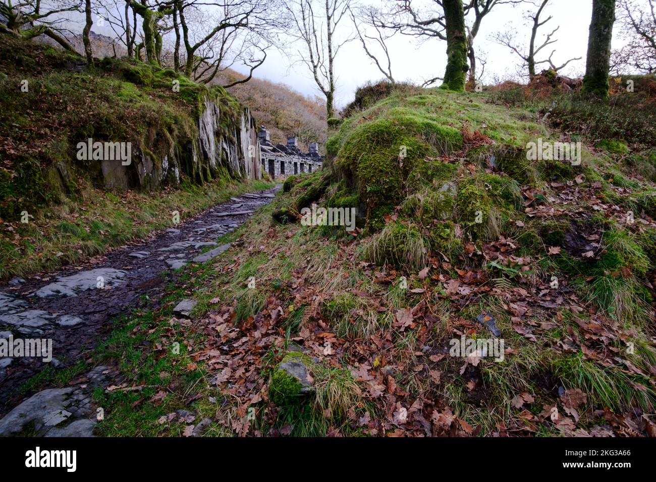 Une promenade automnale autour de la carrière d'ardoise Dinorwic à Llanberis, Snowdonia, Gwynedd, au nord du pays de Galles, en Grande-Bretagne Banque D'Images