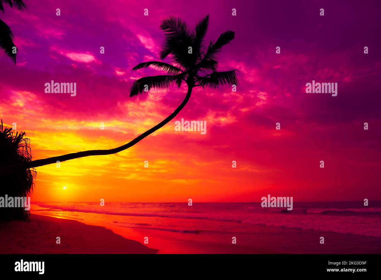 Coucher de soleil coloré avec silhouette de palmiers à noix de coco sur une île tropicale plage avec océan calme Banque D'Images