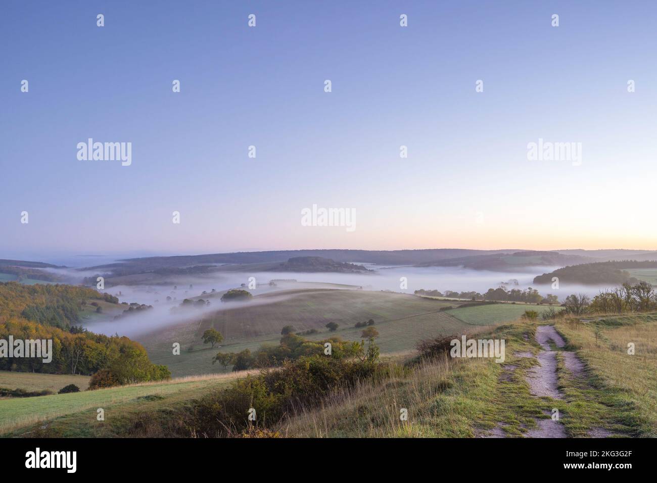 Brume matinale située dans la vallée de Singleton dans le parc national de South Downs en automne. Banque D'Images