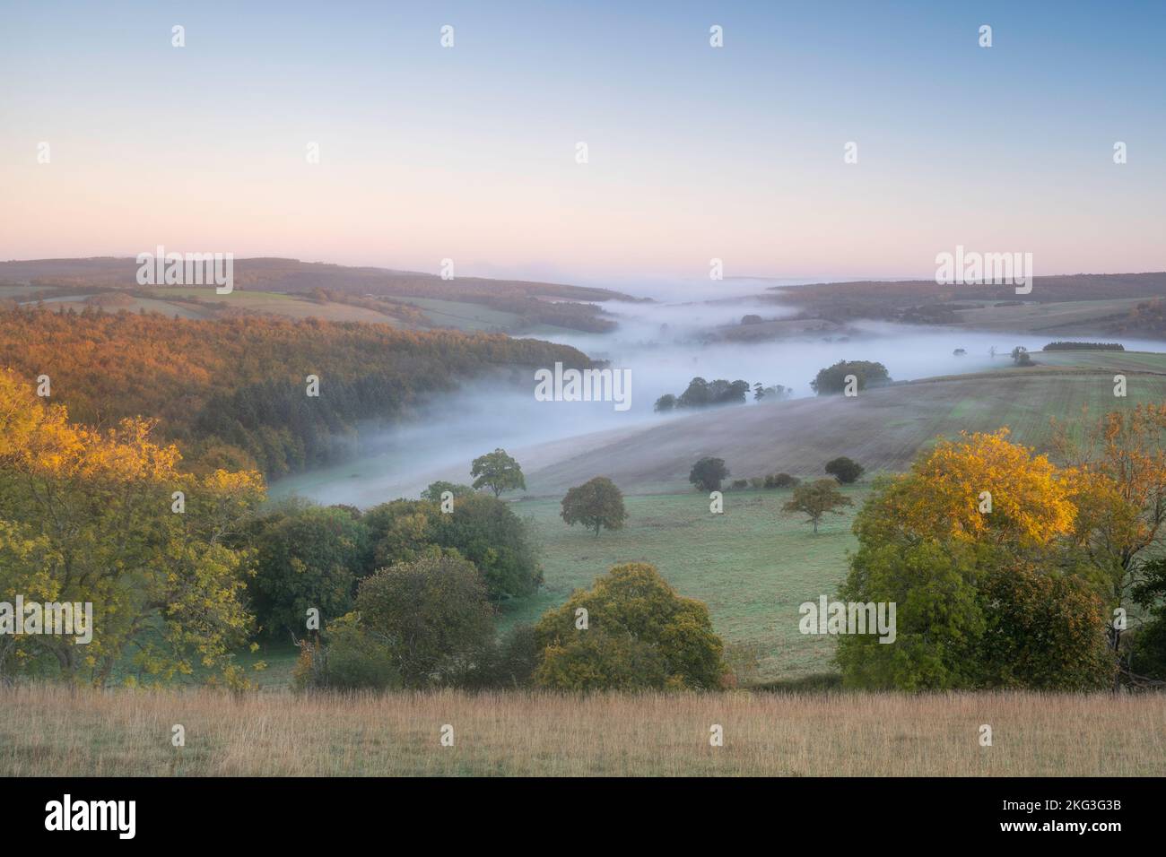 Brume matinale située dans la vallée de Singleton dans le parc national de South Downs en automne. Banque D'Images