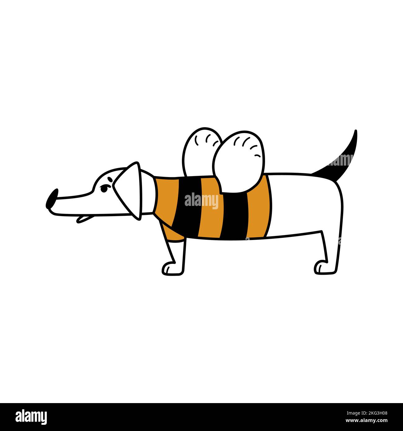 Un chien de bande dessinée se dresse dans un drôle de costume d'abeille à rayures. Illustration plate isolée simple avec caractère dachshund. Mascotte fraîche pour autocollants, logos Illustration de Vecteur