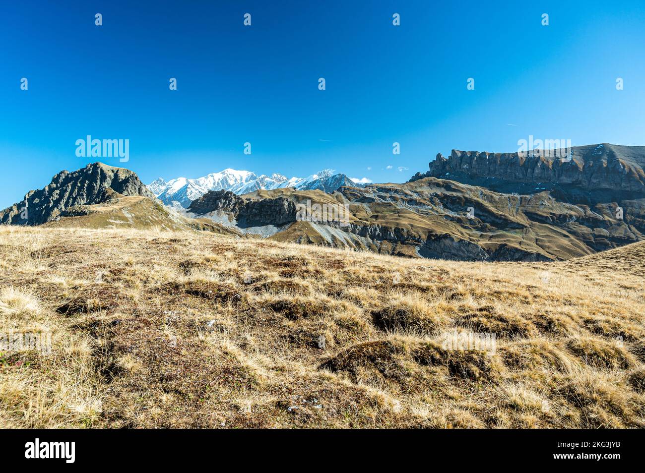 Gros plan sur l'herbe sèche et vue sur la montagne avec des sommets enneigés blancs derrière la montagne rocheuse sous le ciel bleu dans le sud de la France. Banque D'Images