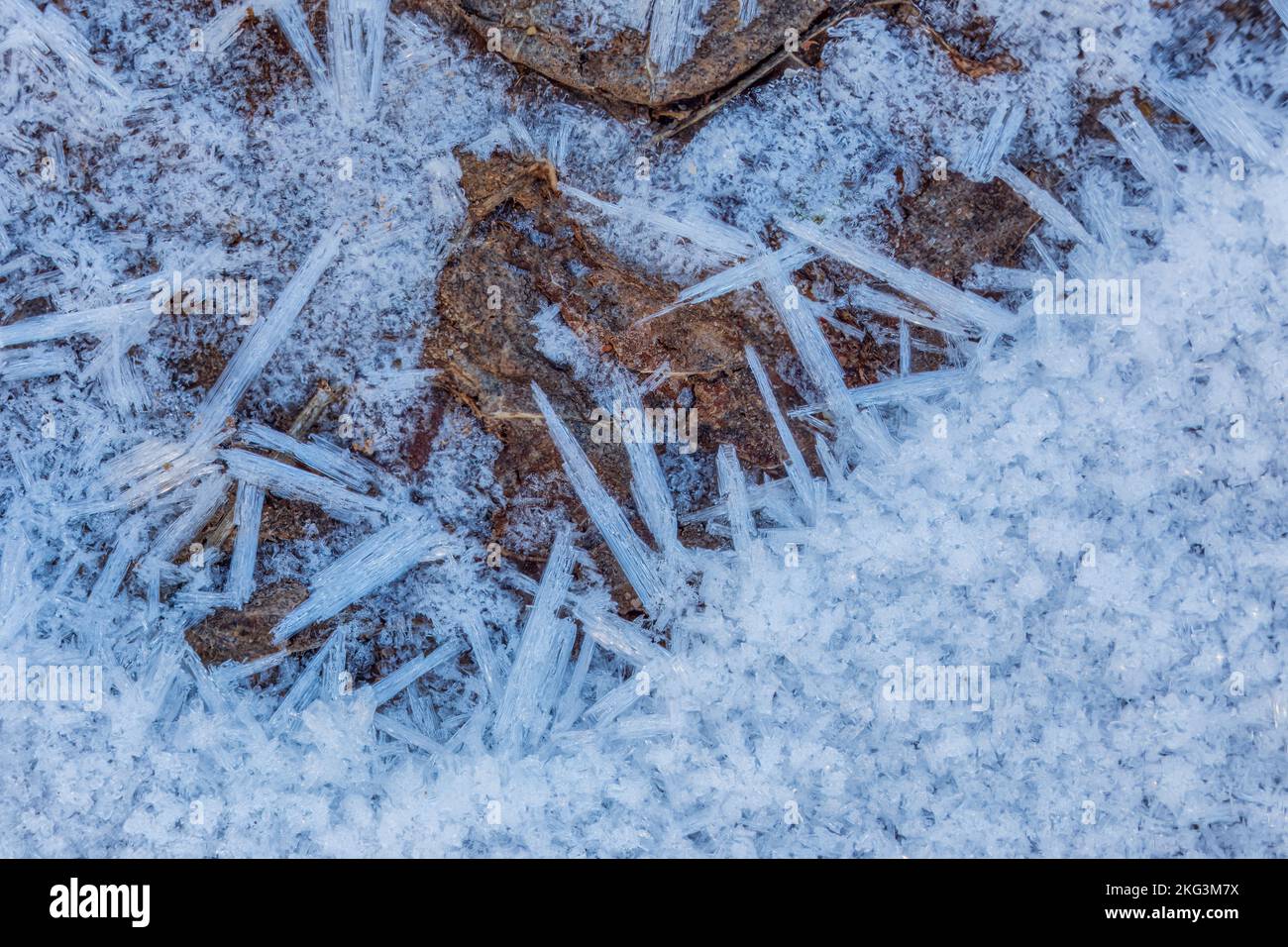 Cristaux de gel bleu clair sur le groun Banque D'Images