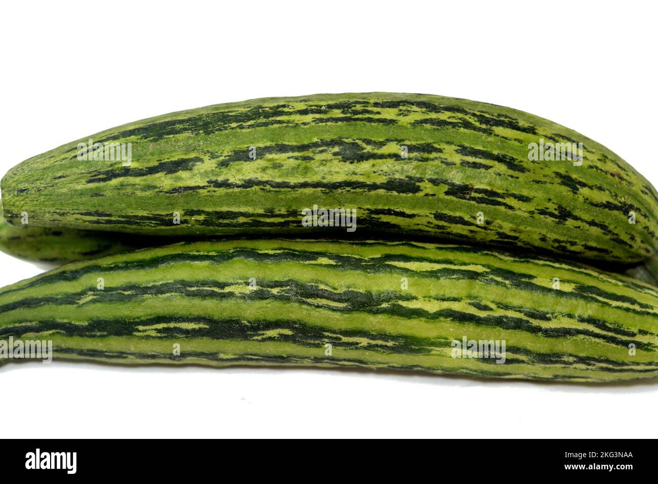Le concombre arménien, Cucumis melo var. flexuosus, un type de fruit long et mince qui a le goût du concombre et ressemble quelque peu à un concombre à l'intérieur Banque D'Images