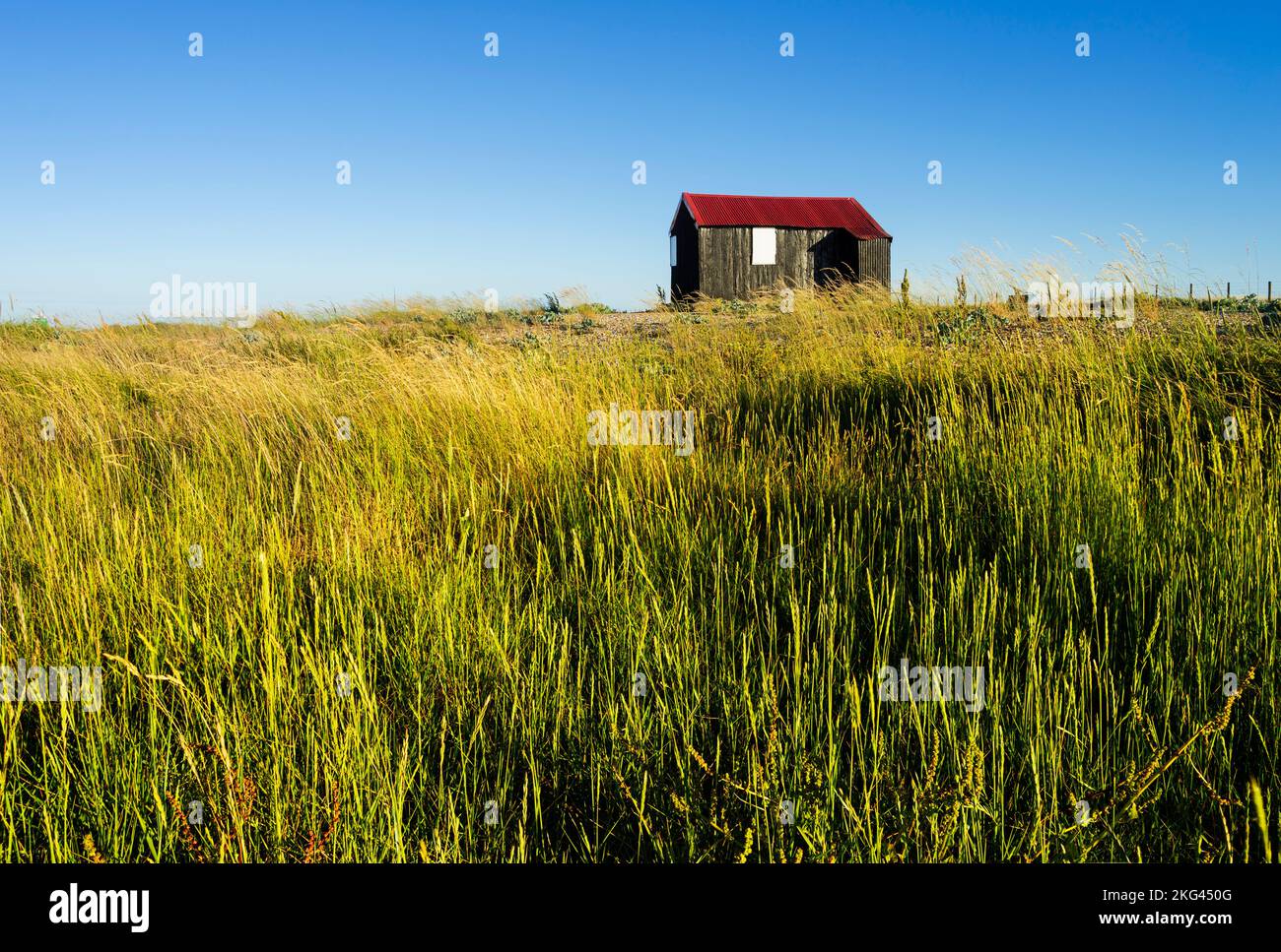 Rye Harbour nature Reserve Red Covered Hut Rye Harbour Rye East Sussex Angleterre GB Europe Banque D'Images