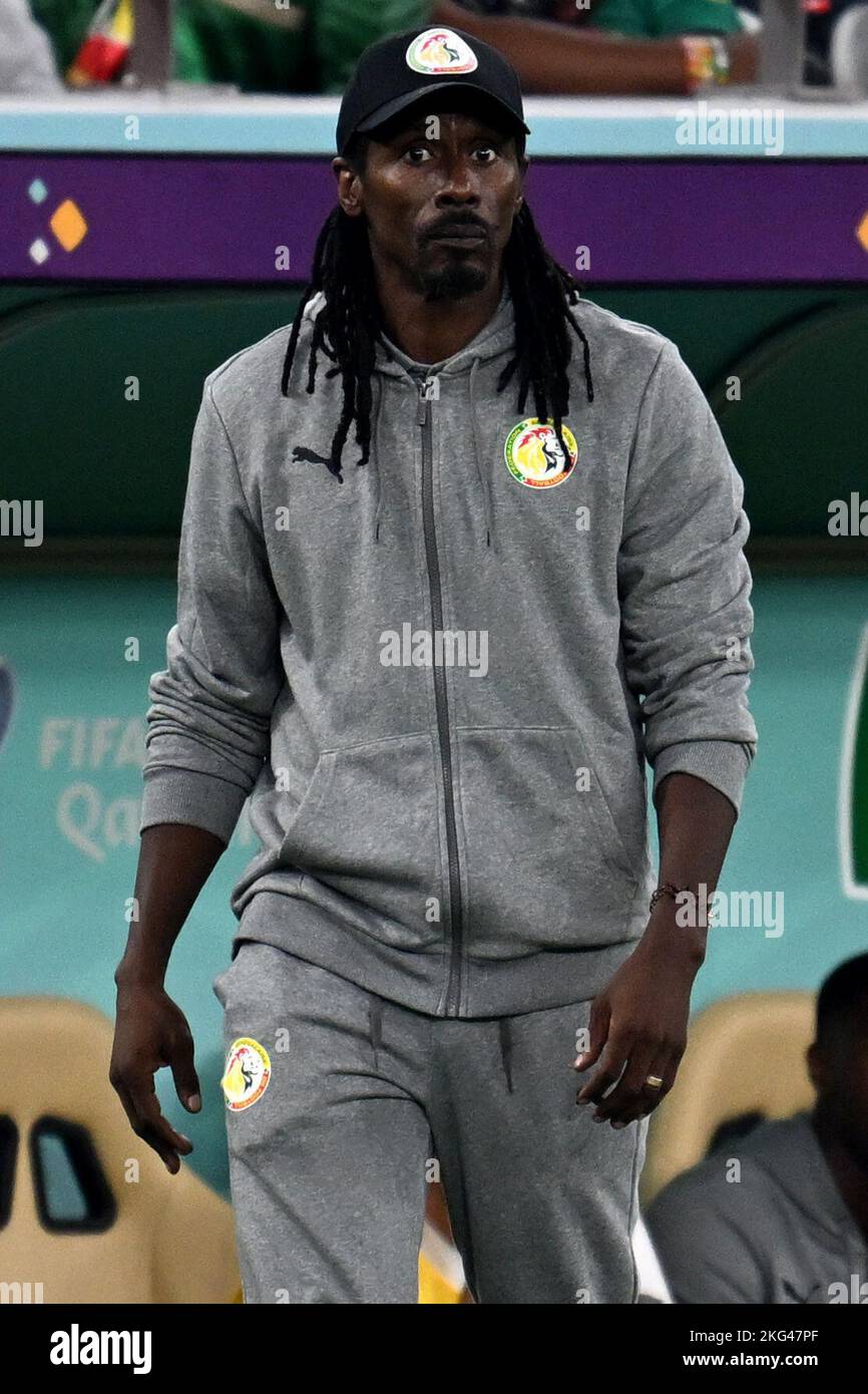 Doha, Qatar. 21st novembre 2022. Football : coupe du monde, Sénégal - pays-Bas, cycle préliminaire, Groupe A, Journée de match 1, Stade Al-Thumama, l'entraîneur sénégalais Aliou Cissé pendant le match. Credit: Federico Gambarini/dpa/Alay Live News Banque D'Images